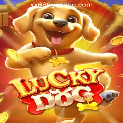 Exploring LuckyDog: The Exciting World of XX666 Cassino com Saque Rápido