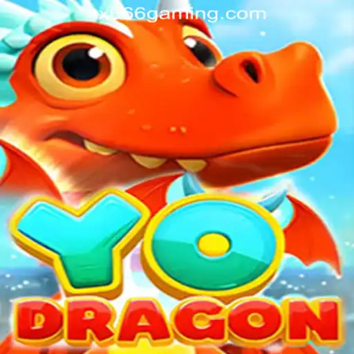 Exploring the Exciting World of YoDragon and Its Fast Withdrawal Features